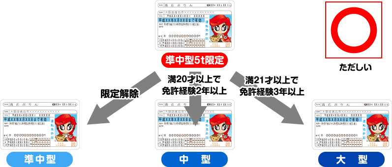 準中型5ｔ限定免許は準中型または中型または大型免許の選択になります