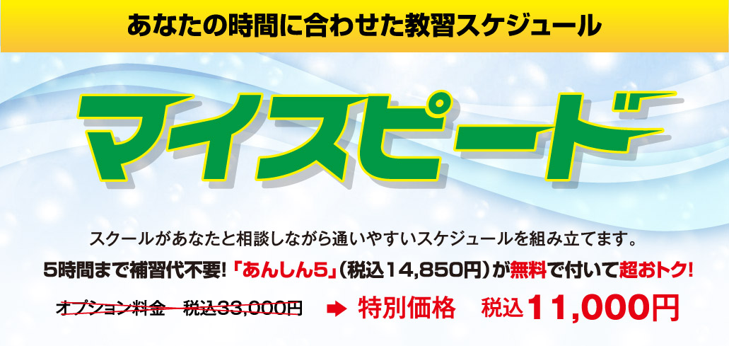 普通自動車 「マイスピード」コース