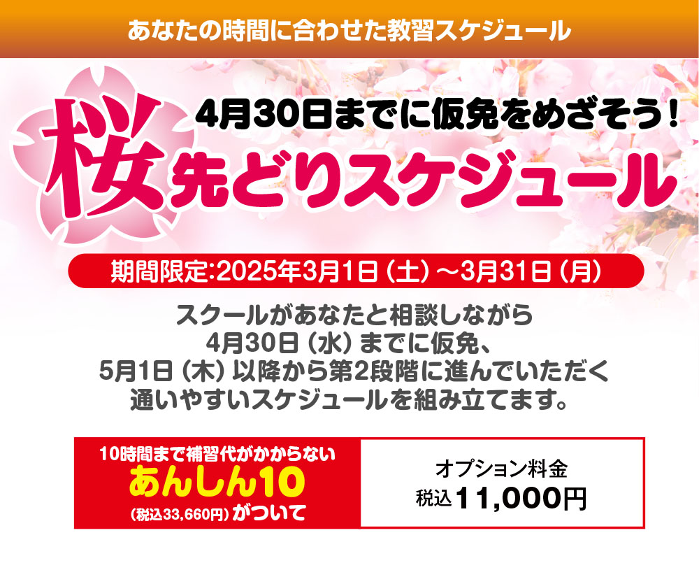 普通自動車 「桜先どりスケジュール」コース
